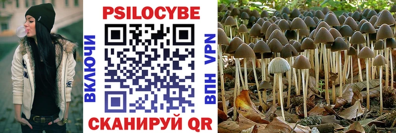 закладка Курск Галлюциногенные грибы мицелий