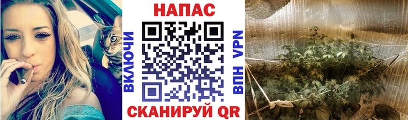 купить наркоту  Курск  OMG вход  Канабис конопля 